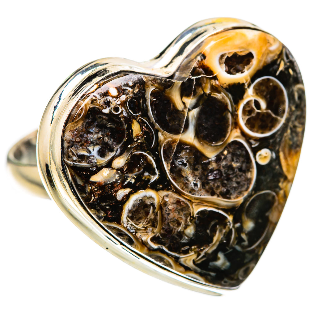 Large Turritella Agate Ring Size 10.75 (925 Sterling Silver) RING136163