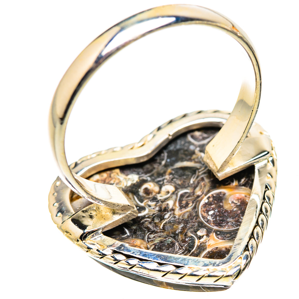 Large Turritella Agate Ring Size 12.75 (925 Sterling Silver) RING135586