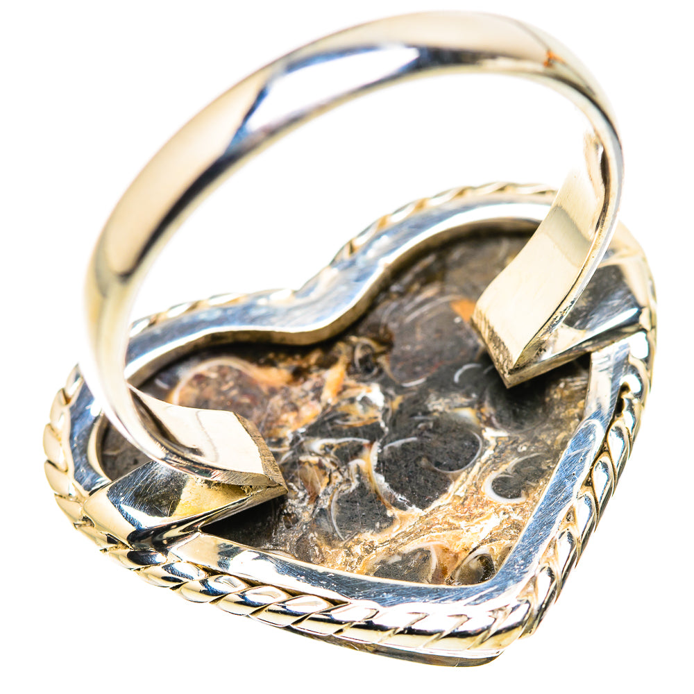 Large Turritella Agate Ring Size 12 (925 Sterling Silver) RING134714