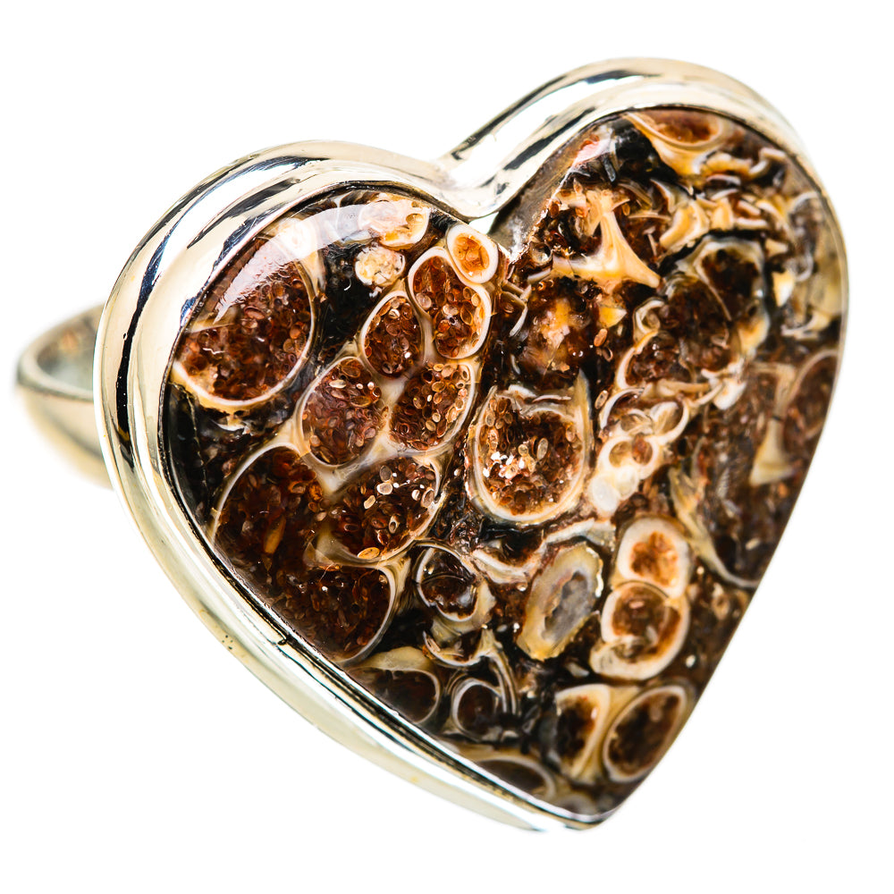 Large Turritella Agate Ring Size 10.75 (925 Sterling Silver) RING135950