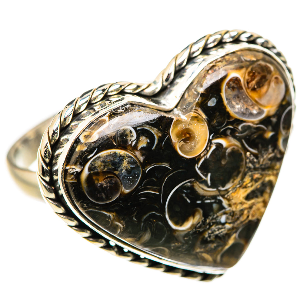 Large Turritella Agate Ring Size 12 (925 Sterling Silver) RING134714