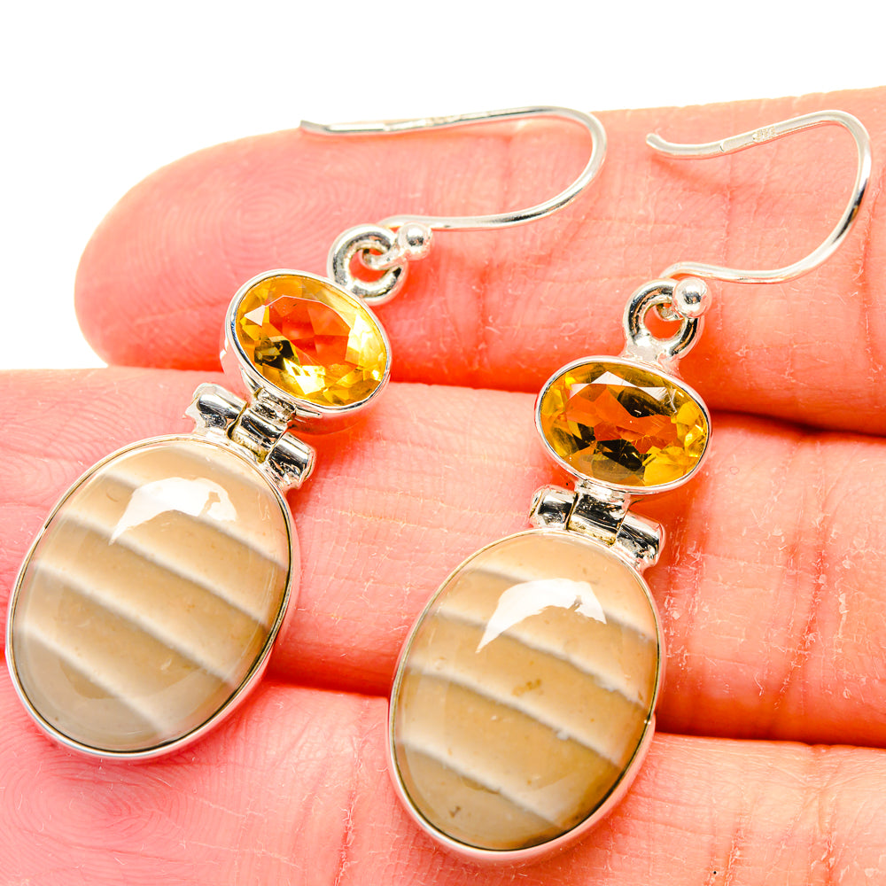 Striped Flint Earrings handcrafted by Anasilvercos - EARR423621