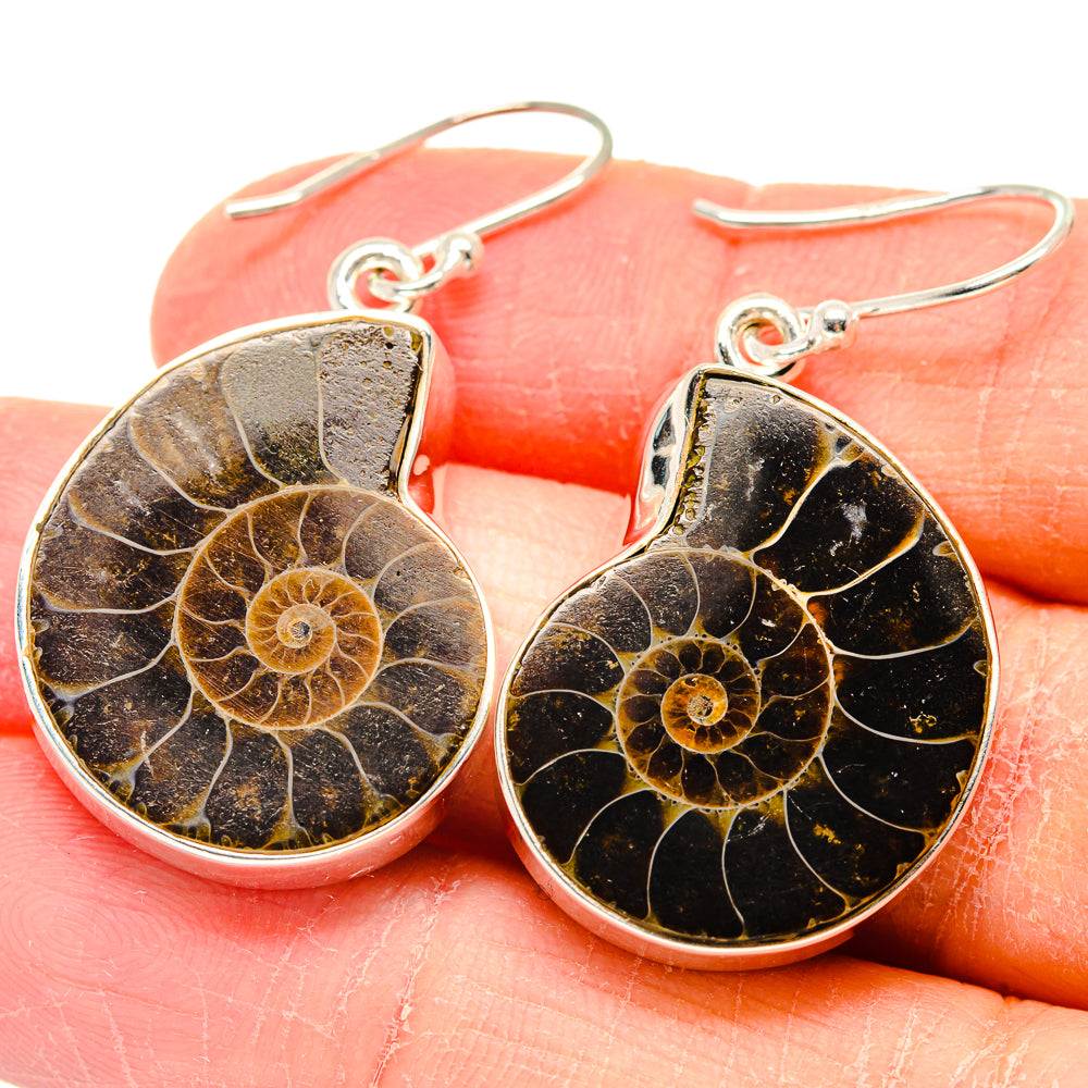 Ammonite Fossil Earrings handcrafted by Anasilvercos - EARR423644