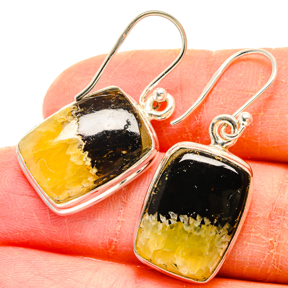 Septarian Nodule Earrings handcrafted by Anasilvercos - EARR423689