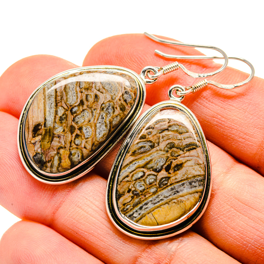 Chert Breccia Earrings handcrafted by Anasilvercos - EARR411608