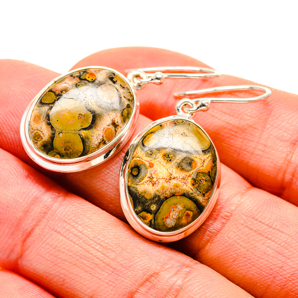 Ocean Jasper Earrings handcrafted by Anasilvercos - EARR412973