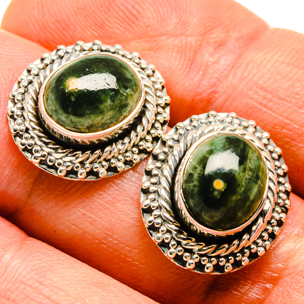 Ocean Jasper Earrings handcrafted by Anasilvercos - EARR414288