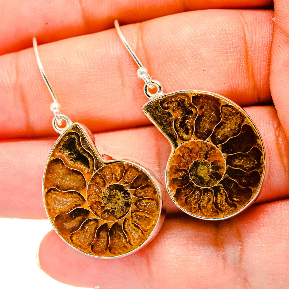 Ammonite Fossil Earrings handcrafted by Anasilvercos - EARR419318