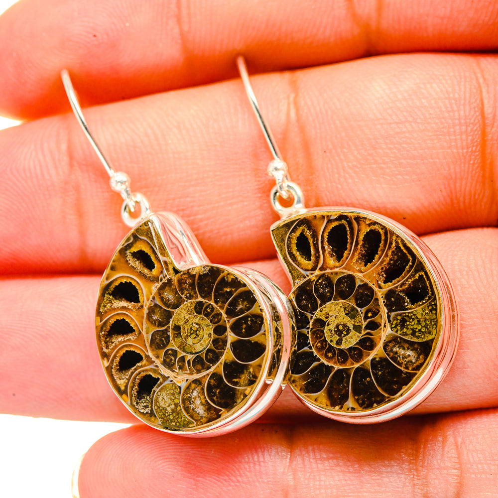 Ammonite Fossil Earrings handcrafted by Anasilvercos - EARR419334