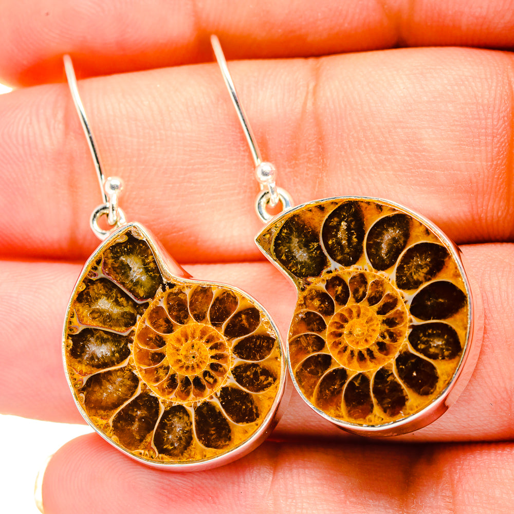 Ammonite Fossil Earrings handcrafted by Anasilvercos - EARR419350