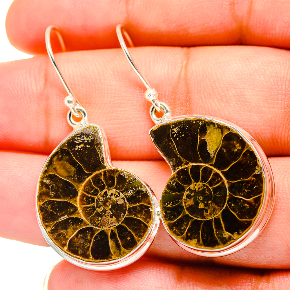 Ammonite Fossil Earrings handcrafted by Anasilvercos - EARR419356