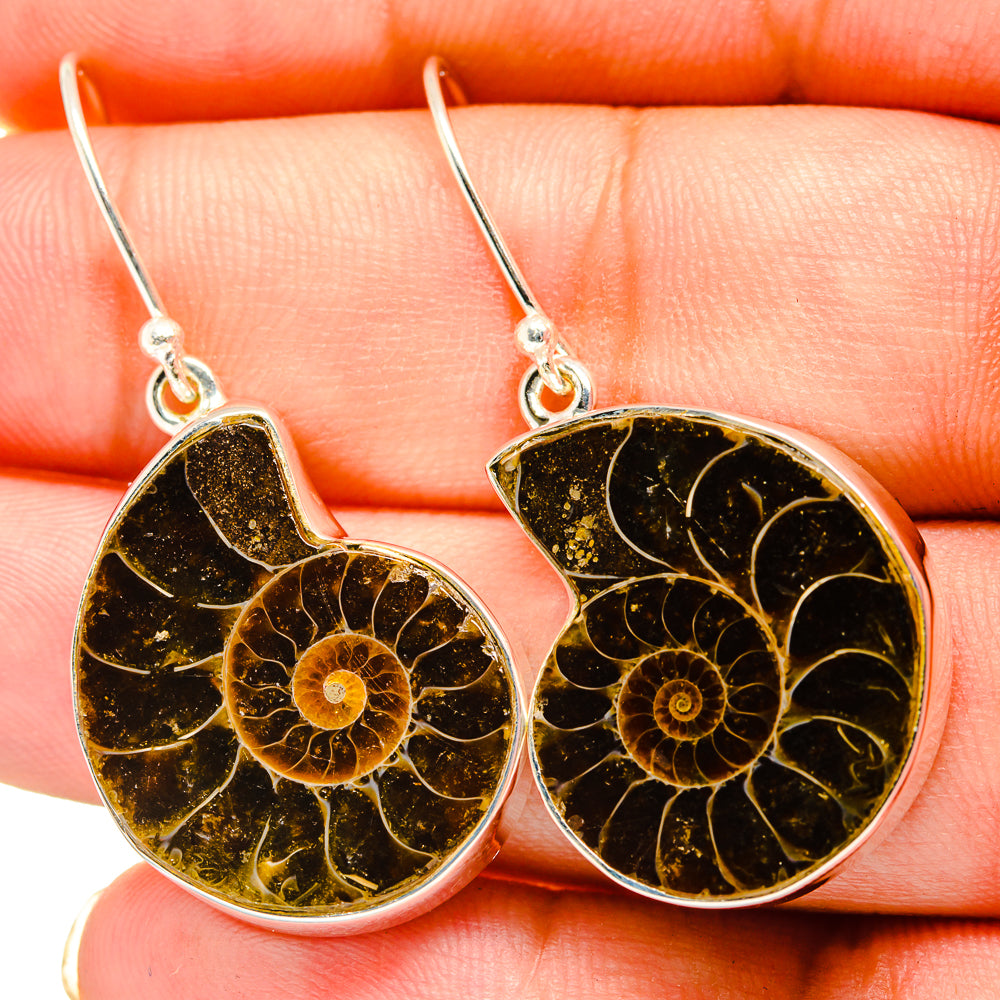 Ammonite Fossil Earrings handcrafted by Anasilvercos - EARR419378
