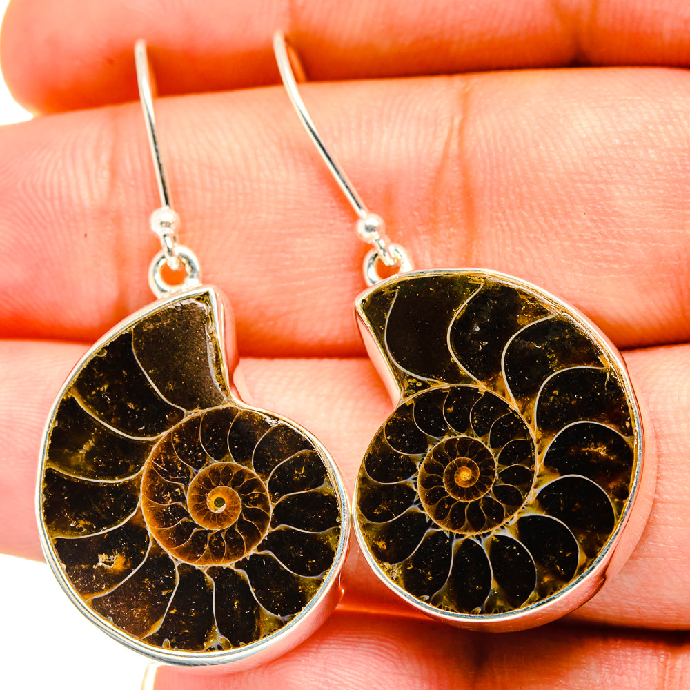 Ammonite Fossil Earrings handcrafted by Anasilvercos - EARR419386