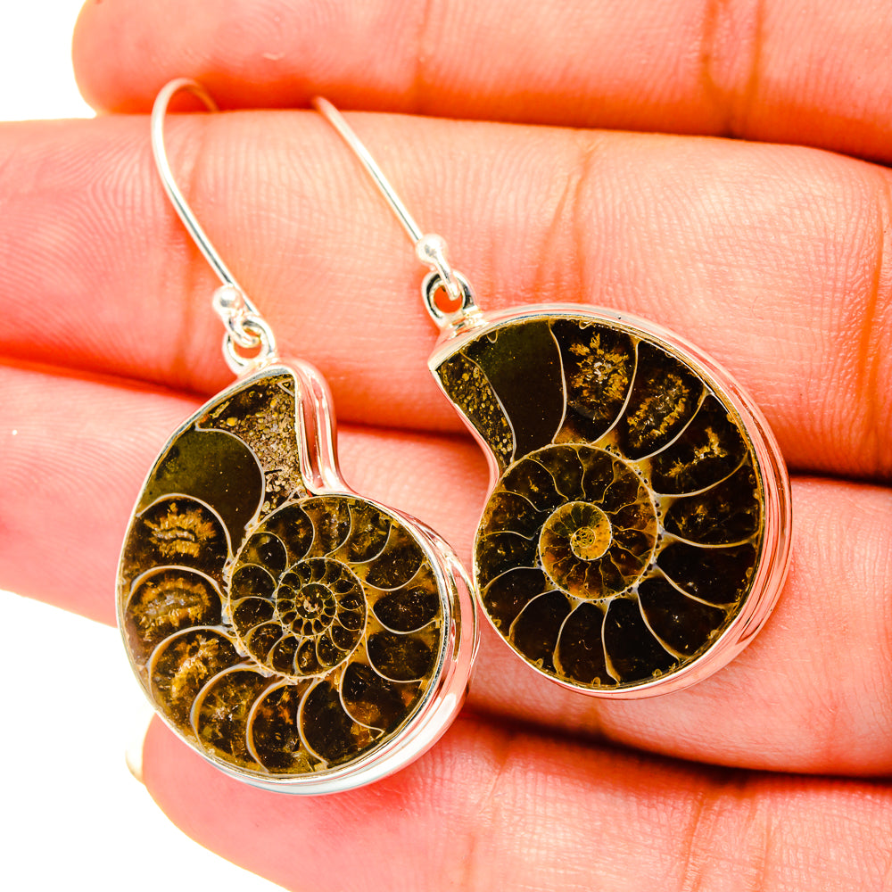 Ammonite Fossil Earrings handcrafted by Anasilvercos - EARR419412