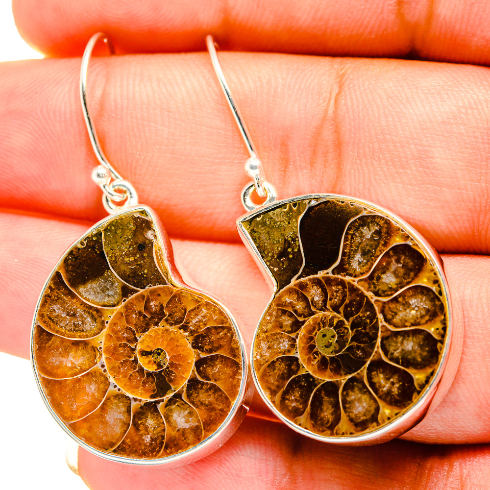 Ammonite Fossil Earrings handcrafted by Anasilvercos - EARR419421