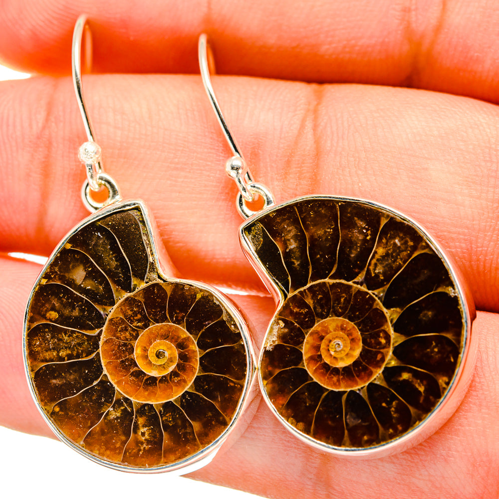 Ammonite Fossil Earrings handcrafted by Anasilvercos - EARR419429