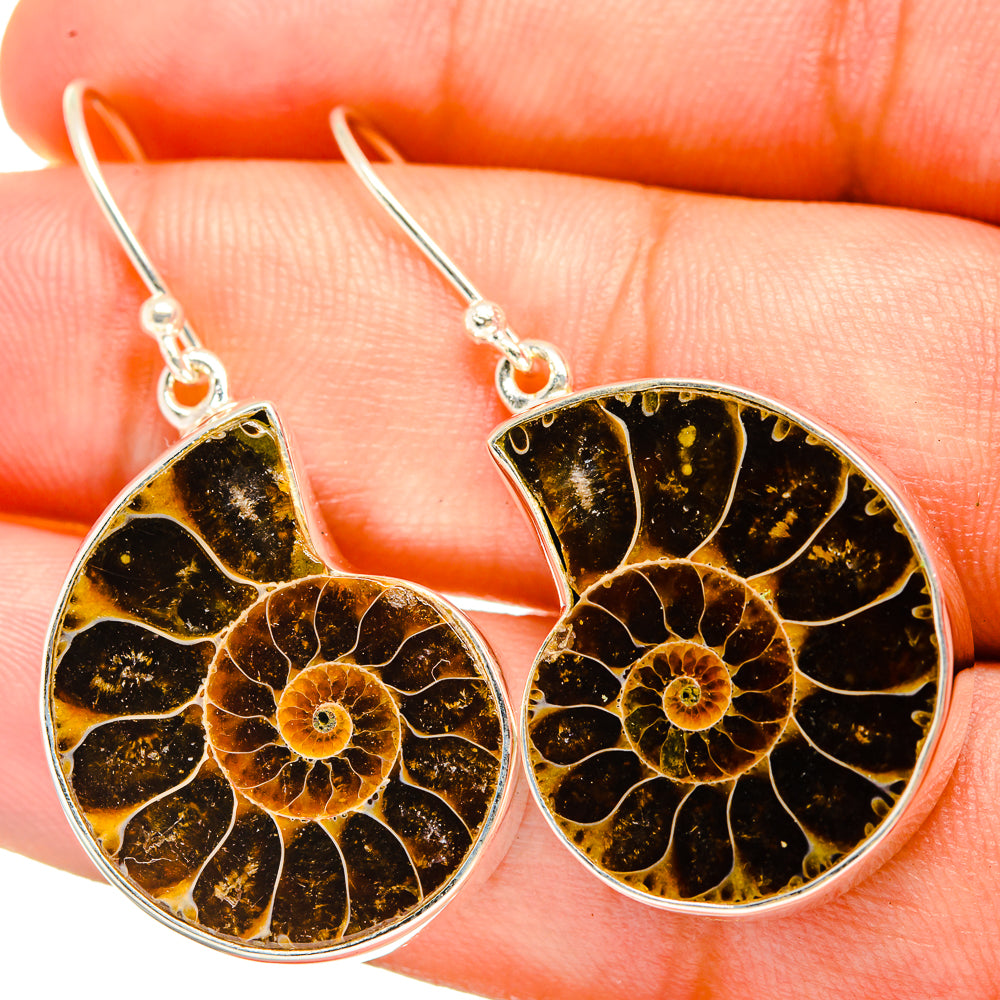 Ammonite Fossil Earrings handcrafted by Anasilvercos - EARR419459