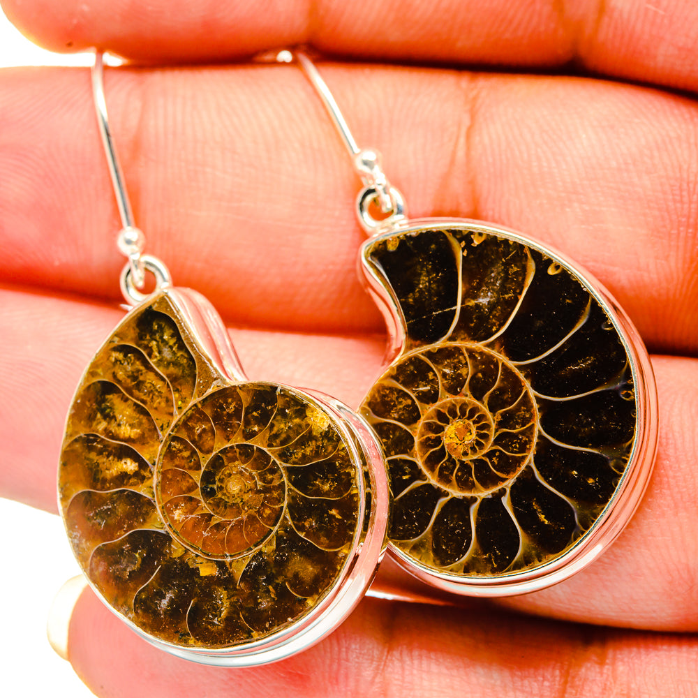 Ammonite Fossil Earrings handcrafted by Anasilvercos - EARR419483