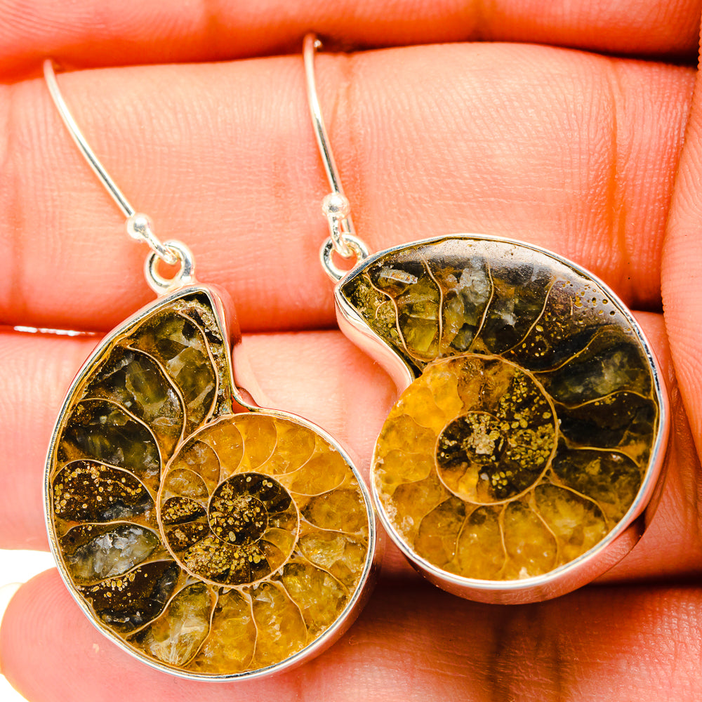 Ammonite Fossil Earrings handcrafted by Anasilvercos - EARR419508