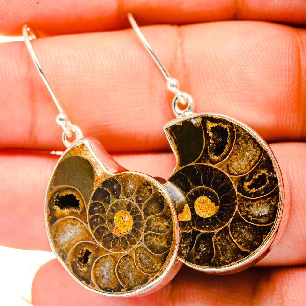 Ammonite Fossil Earrings handcrafted by Anasilvercos - EARR419512