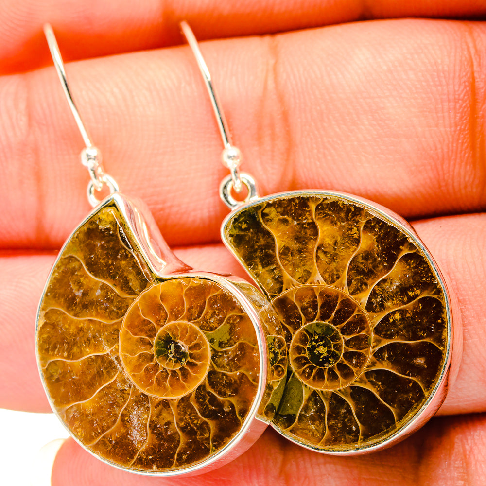 Ammonite Fossil Earrings handcrafted by Anasilvercos - EARR419535