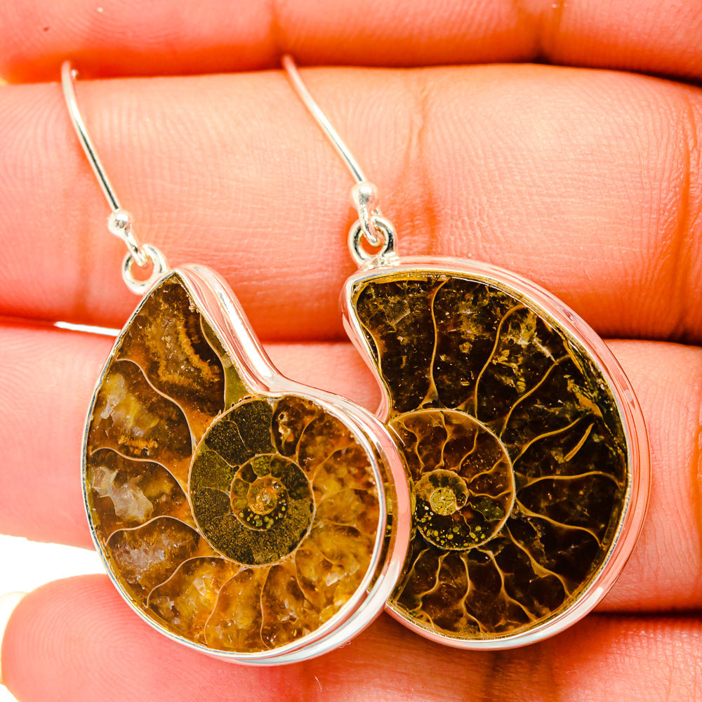 Ammonite Fossil Earrings handcrafted by Anasilvercos - EARR419609