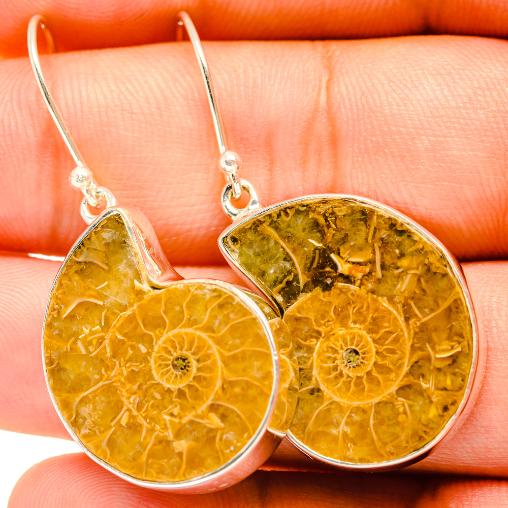 Ammonite Fossil Earrings handcrafted by Anasilvercos - EARR419677