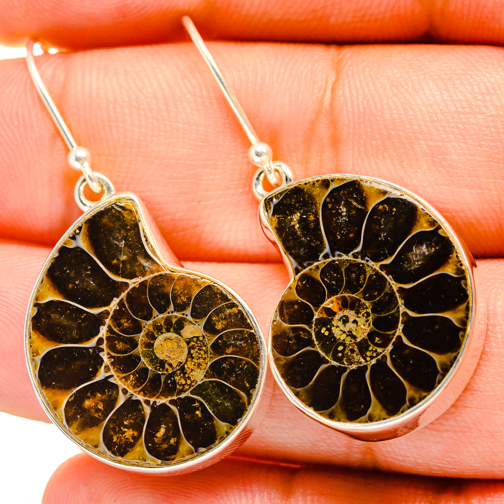 Ammonite Fossil Earrings handcrafted by Anasilvercos - EARR419687