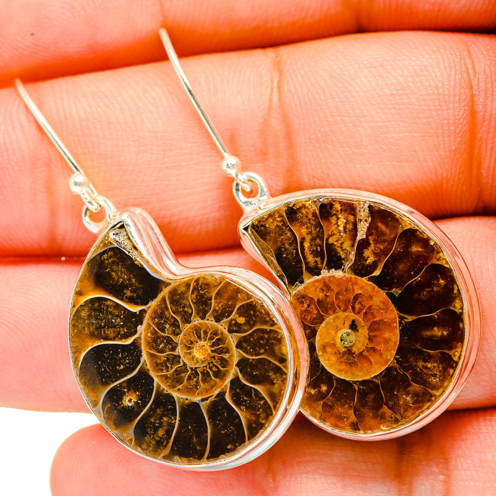 Ammonite Fossil Earrings handcrafted by Anasilvercos - EARR419696