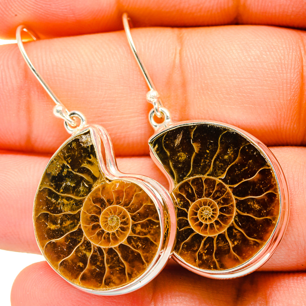 Ammonite Fossil Earrings handcrafted by Anasilvercos - EARR419700