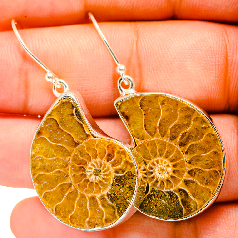 Ammonite Fossil Earrings handcrafted by Anasilvercos - EARR419729
