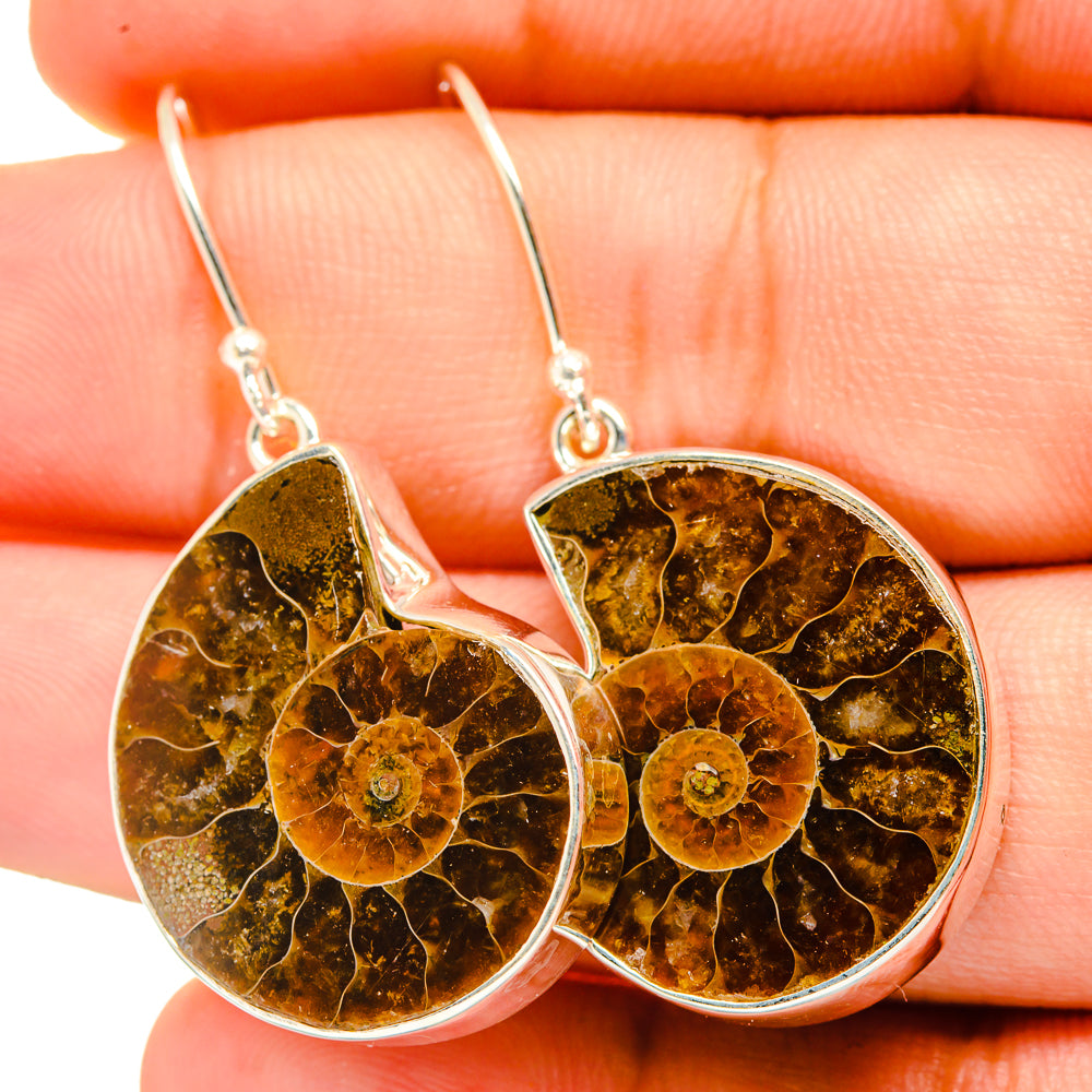 Ammonite Fossil Earrings handcrafted by Anasilvercos - EARR419738