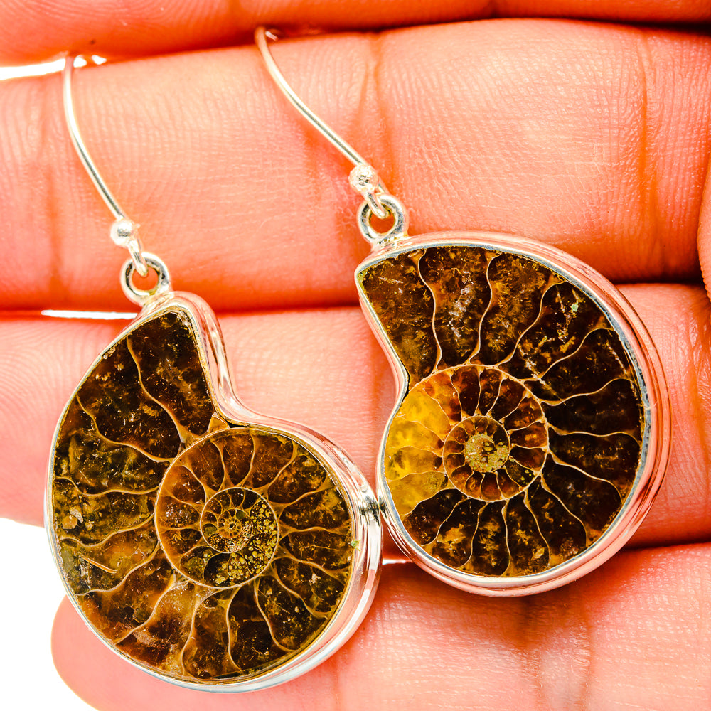 Ammonite Fossil Earrings handcrafted by Anasilvercos - EARR419789
