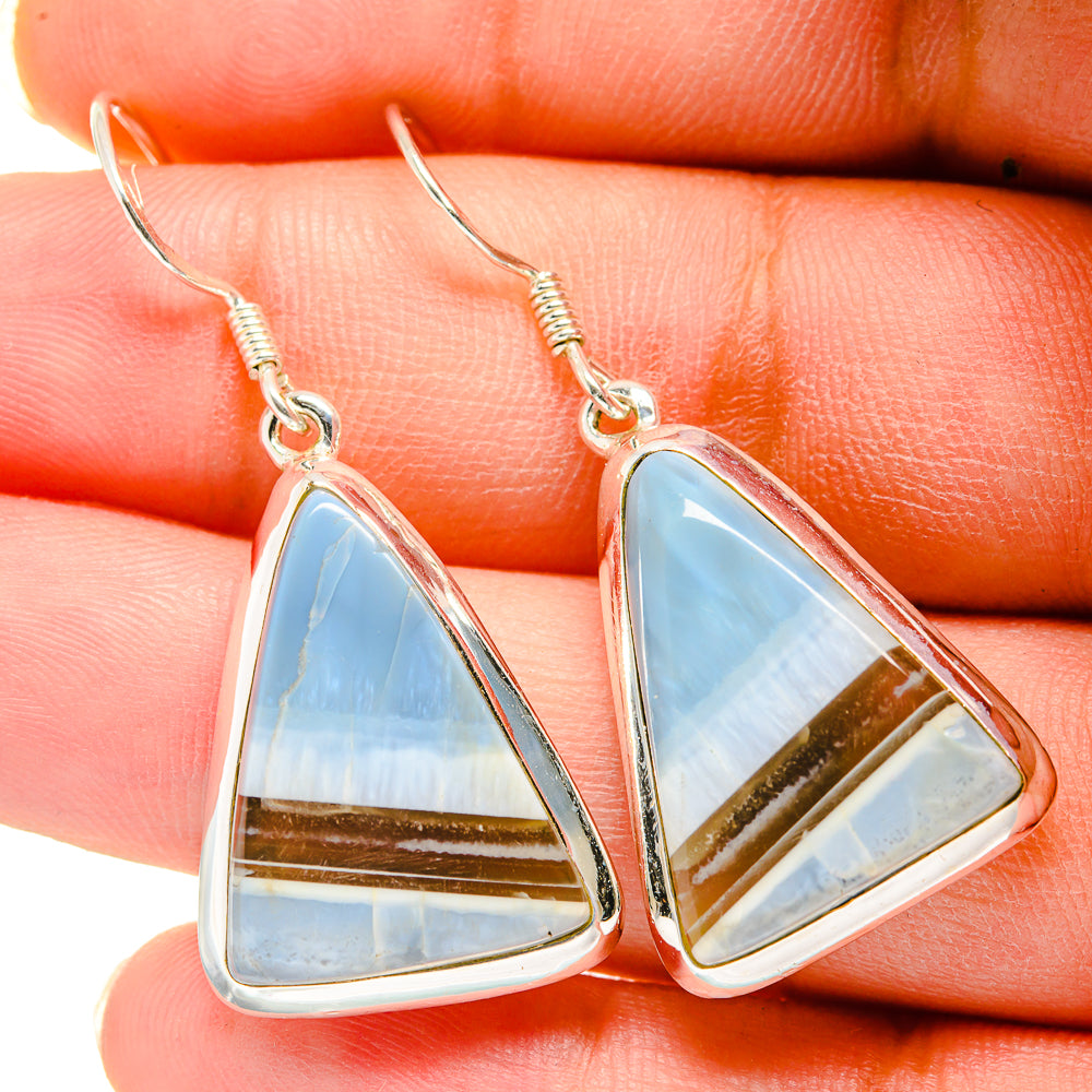 Owyhee Opal Earrings handcrafted by Anasilvercos - EARR420446