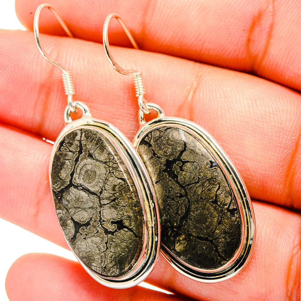 Pyrite Agate Earrings handcrafted by Anasilvercos - EARR420757