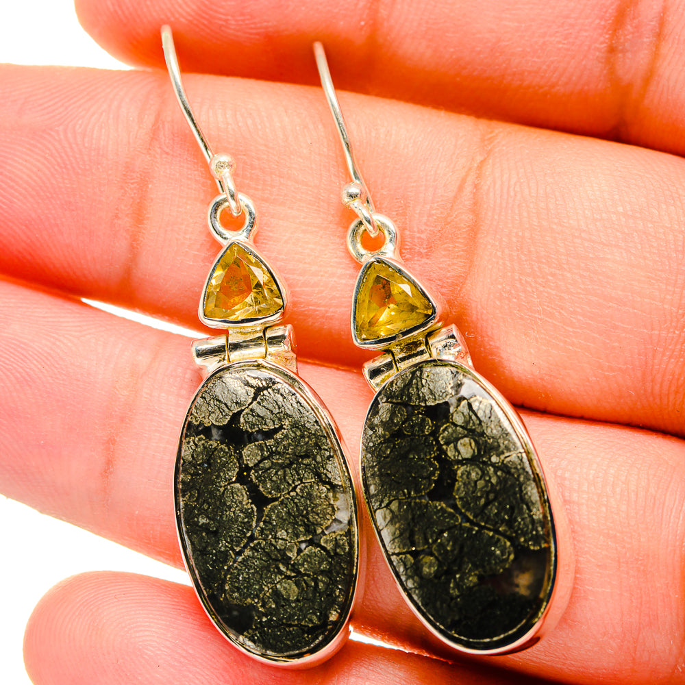 Pyrite Agate Earrings handcrafted by Anasilvercos - EARR421784