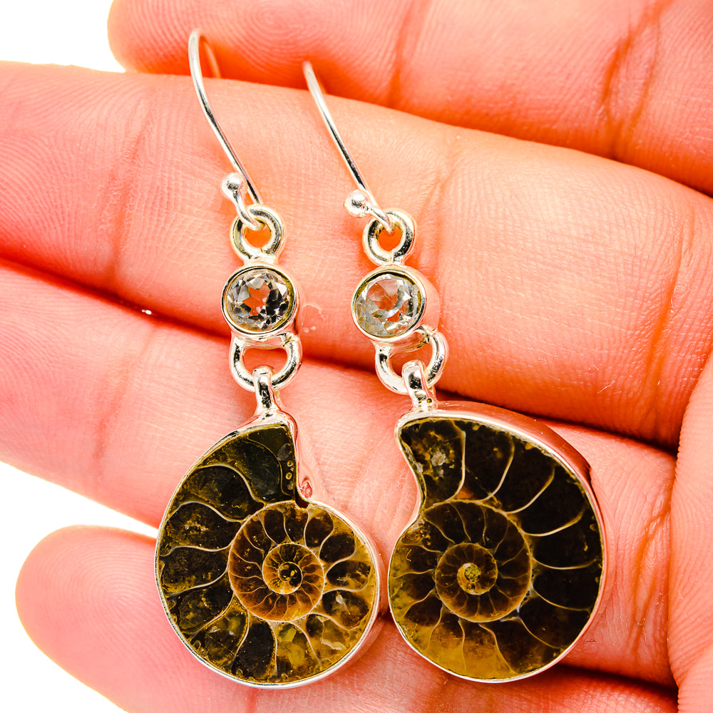 Ammonite Fossil Earrings handcrafted by Anasilvercos - EARR422338