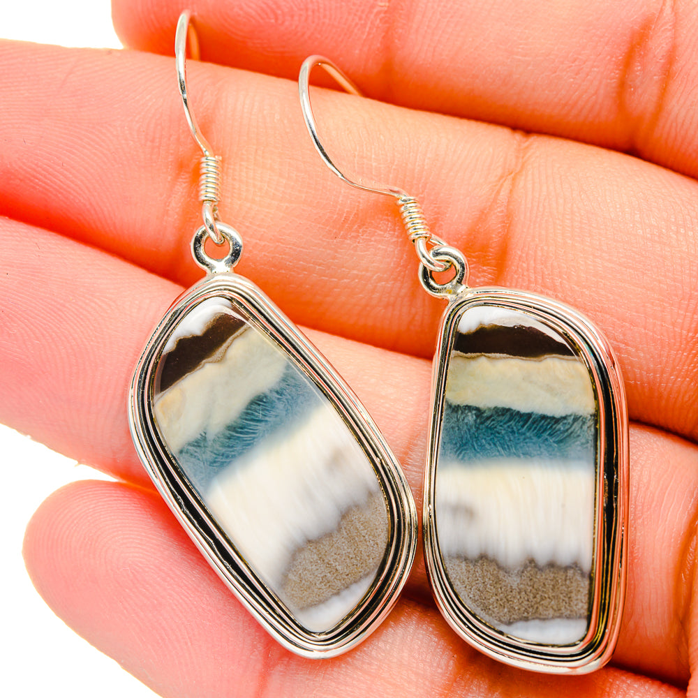 Owyhee Opal Earrings handcrafted by Anasilvercos - EARR422693