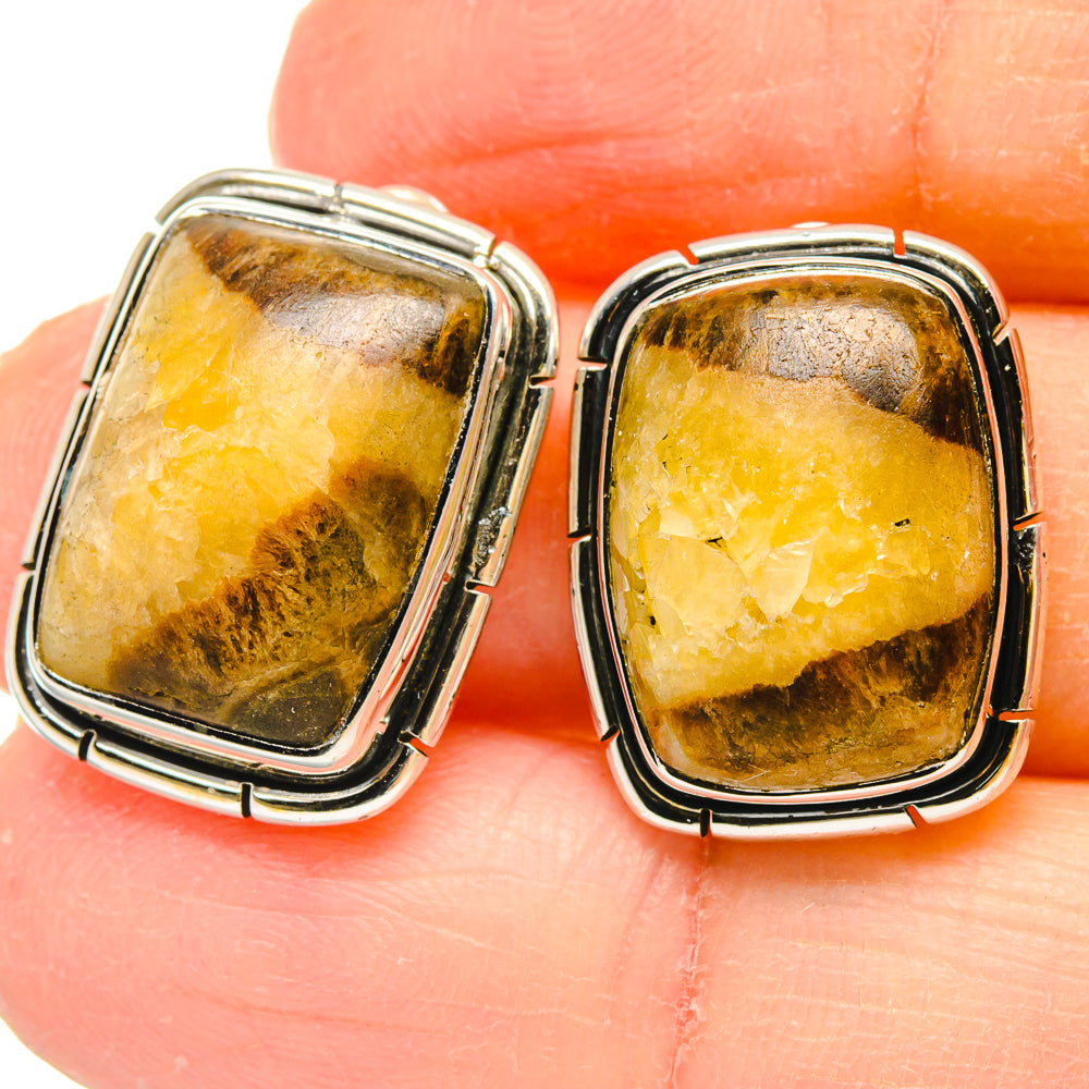 Septarian Nodule Earrings handcrafted by Anasilvercos - EARR422928
