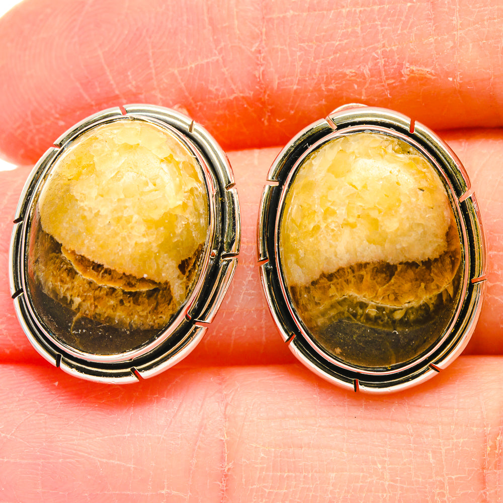 Septarian Nodule Earrings handcrafted by Anasilvercos - EARR423022