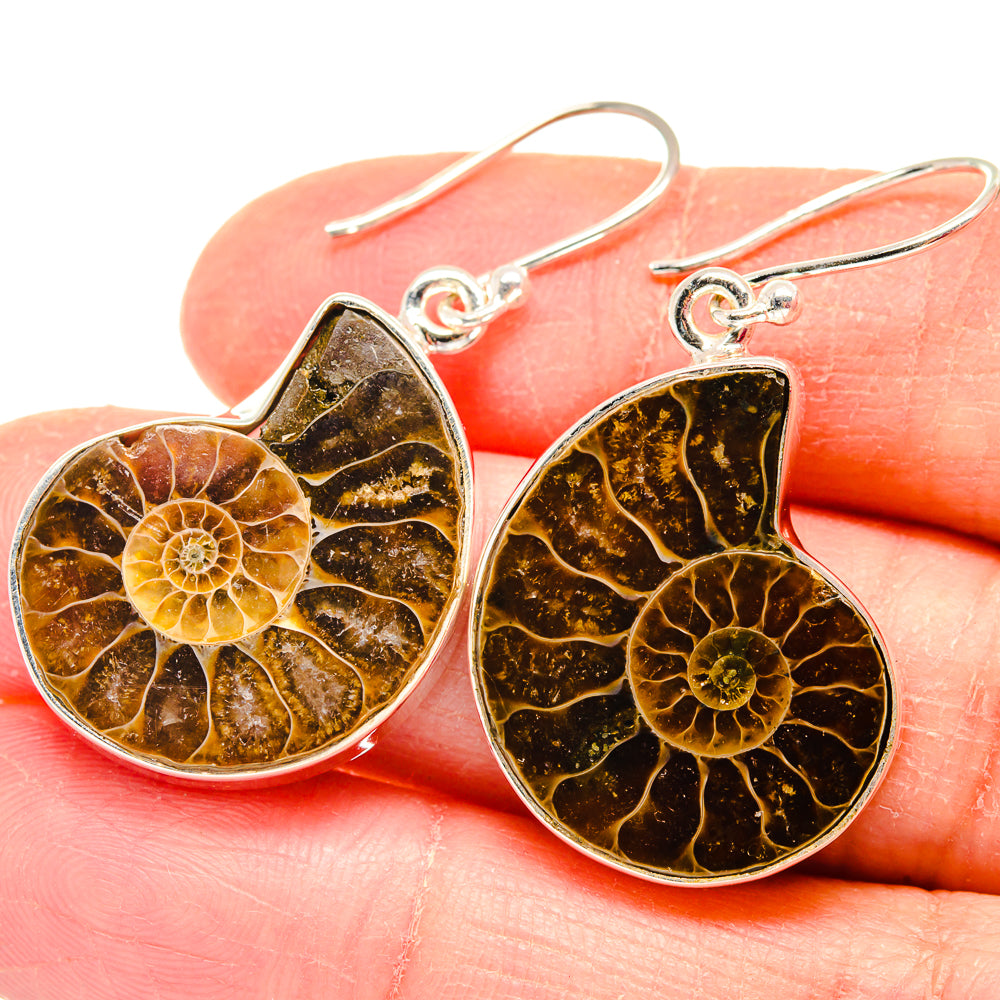 Ammonite Fossil Earrings handcrafted by Anasilvercos - EARR423801