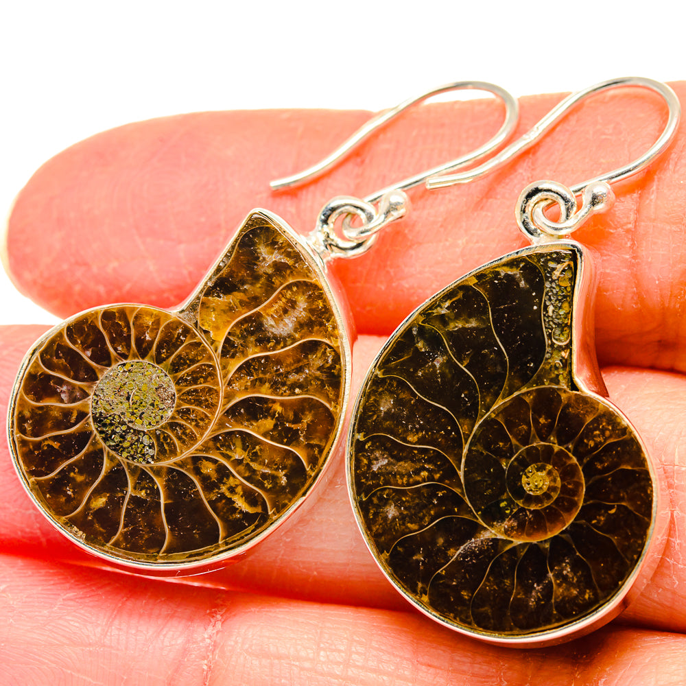 Ammonite Fossil Earrings handcrafted by Anasilvercos - EARR423902