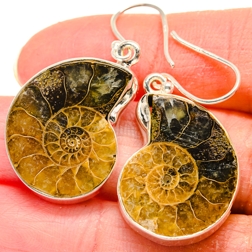 Ammonite Fossil Earrings handcrafted by Anasilvercos - EARR423932