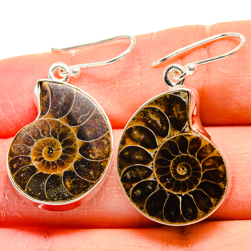 Ammonite Fossil Earrings handcrafted by Anasilvercos - EARR423984