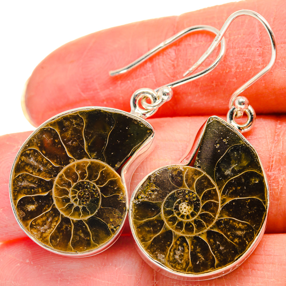 Ammonite Fossil Earrings handcrafted by Anasilvercos - EARR424045