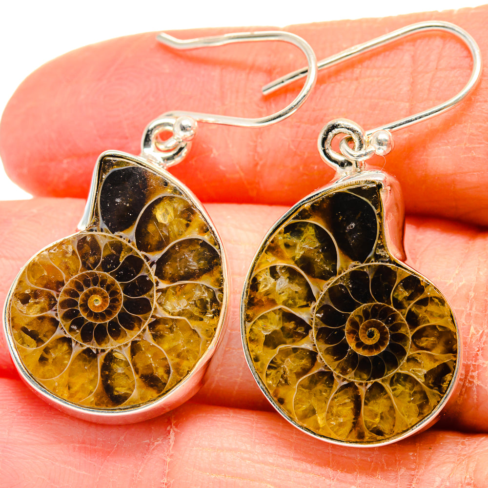 Ammonite Fossil Earrings handcrafted by Anasilvercos - EARR424154