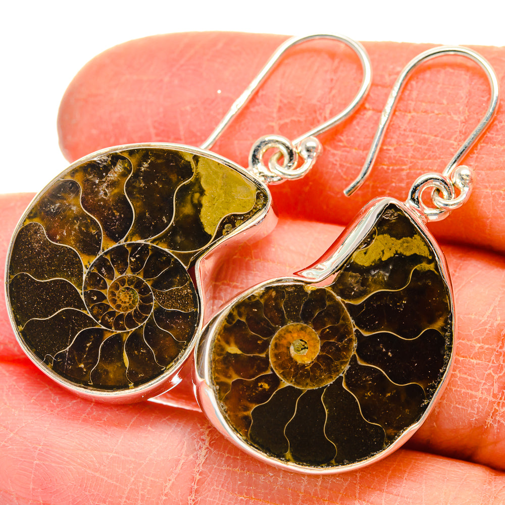 Ammonite Fossil Earrings handcrafted by Anasilvercos - EARR424192