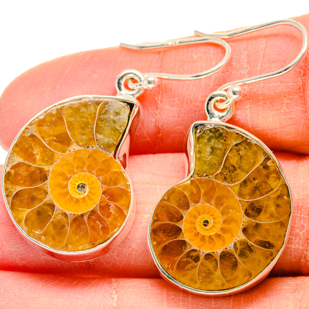Ammonite Fossil Earrings handcrafted by Anasilvercos - EARR424207