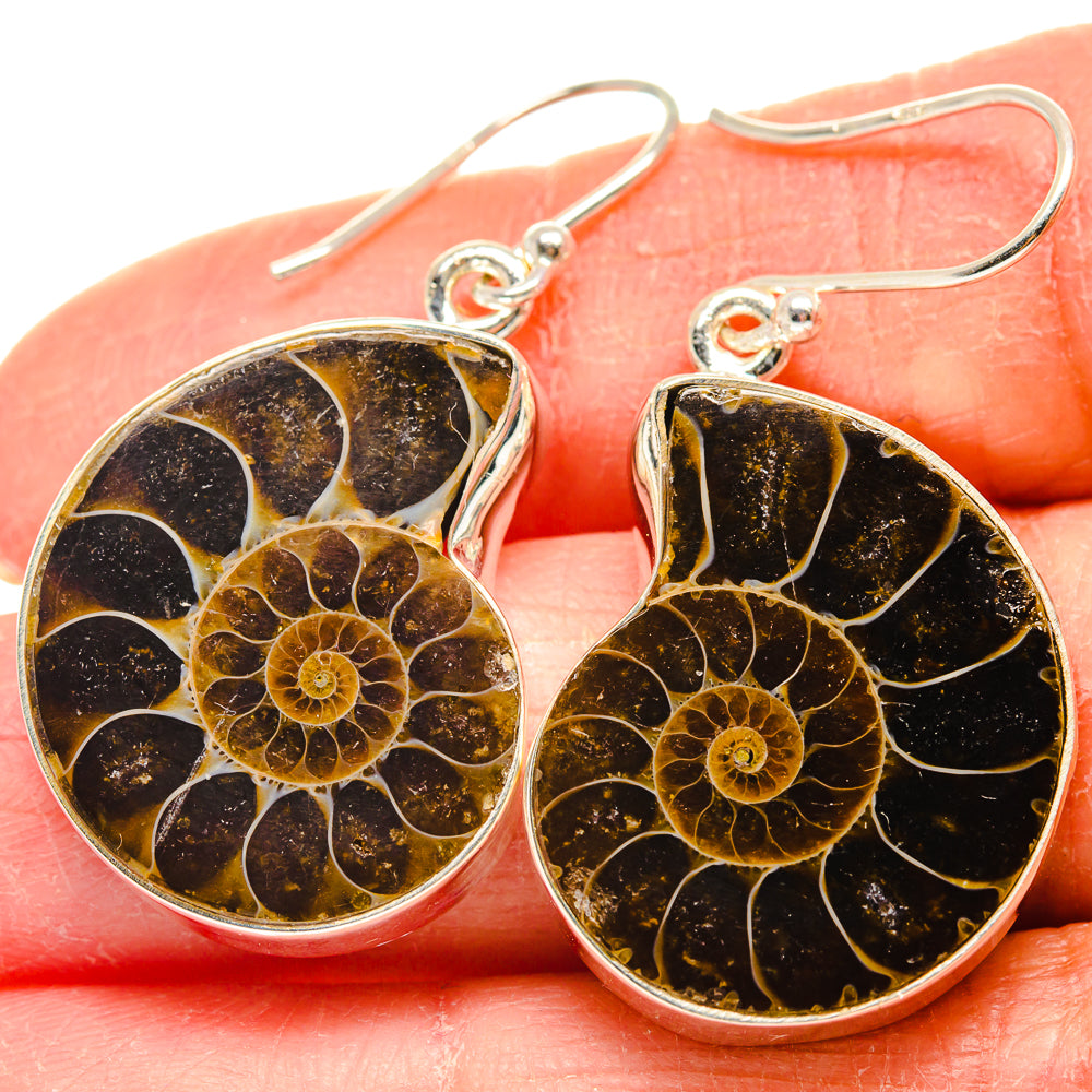 Ammonite Fossil Earrings handcrafted by Anasilvercos - EARR424226