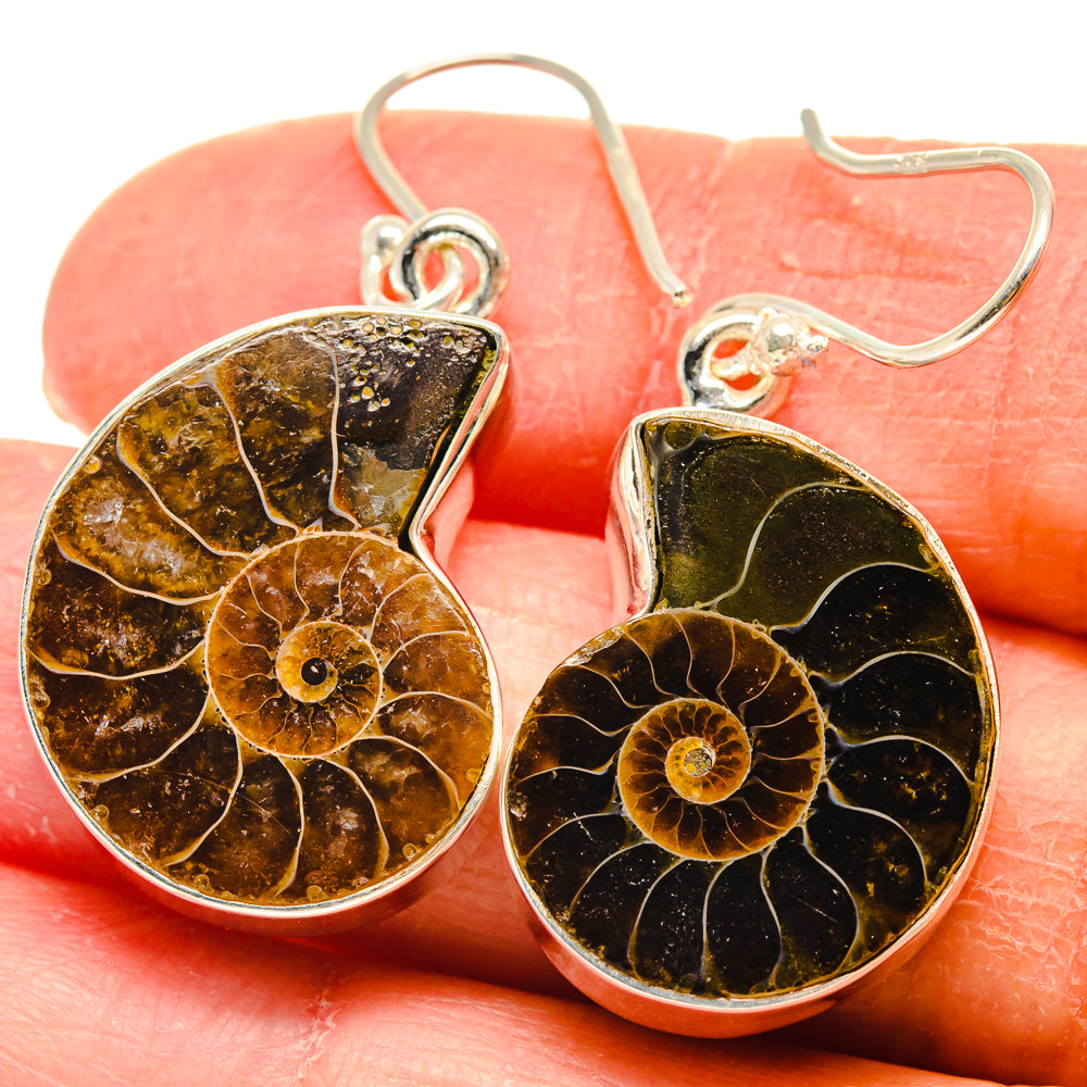 Ammonite Fossil Earrings handcrafted by Anasilvercos - EARR424255